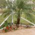 landscapins pictures 051